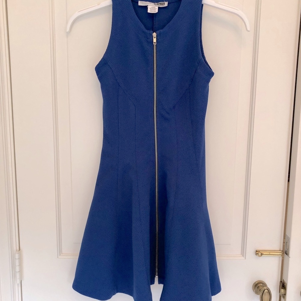 Necessary Objects  blue skater dress with zipper